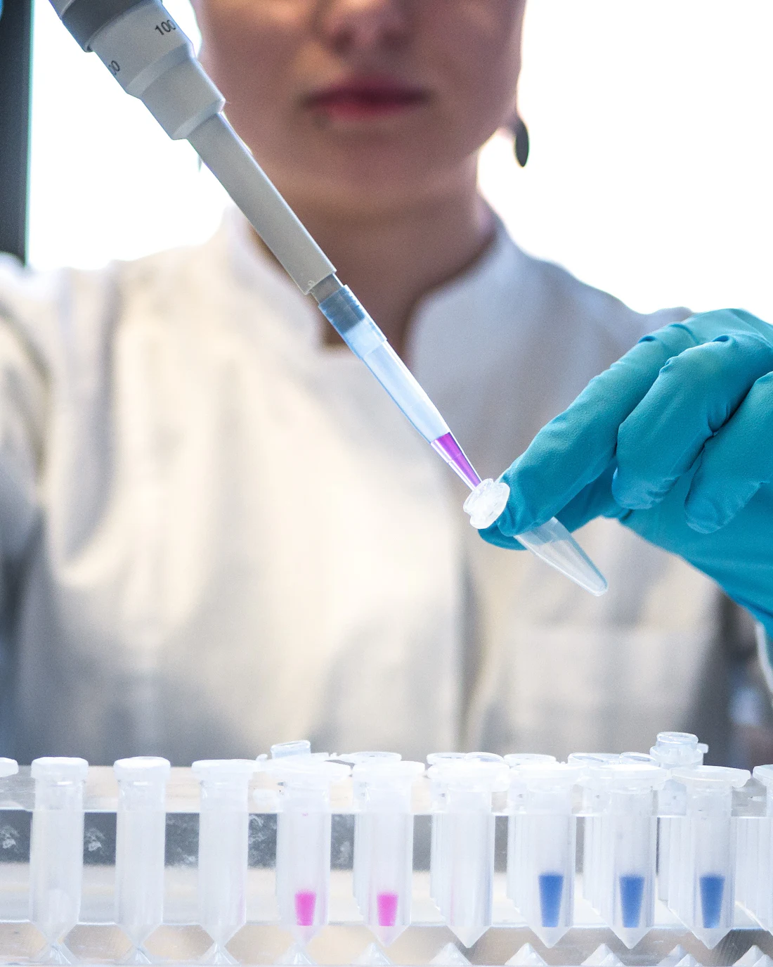 Lab technician in blue gloves handling sample tubes